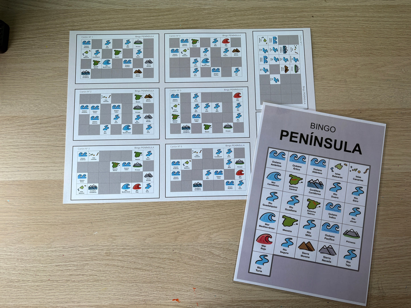 Bingo Educativo para Niños de Primaria